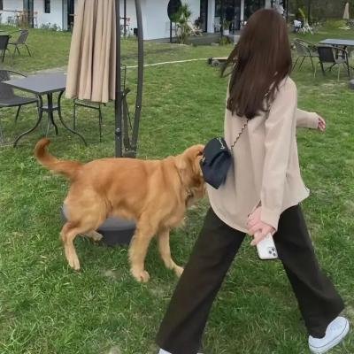 哈儿传奇